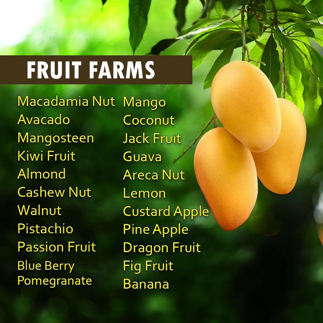 Sundarban Agro Tourism Fruit Farms