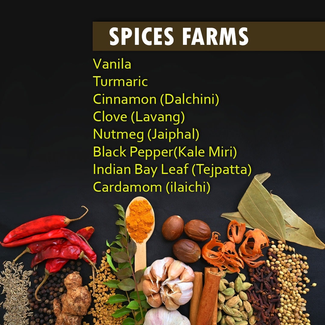 Sundarban Agro Tourism Spices Farms