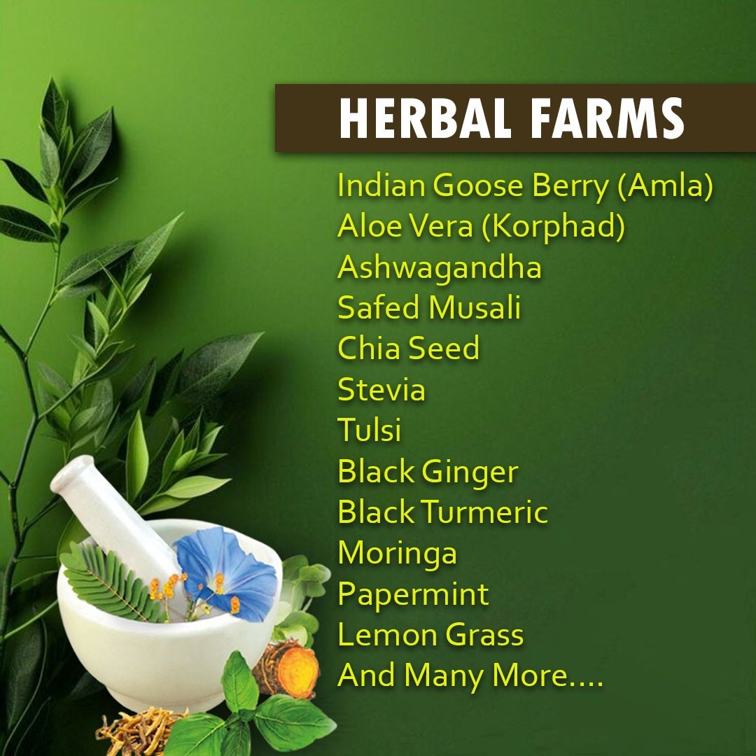 Sundarban Agro Tourism Herbal Farms