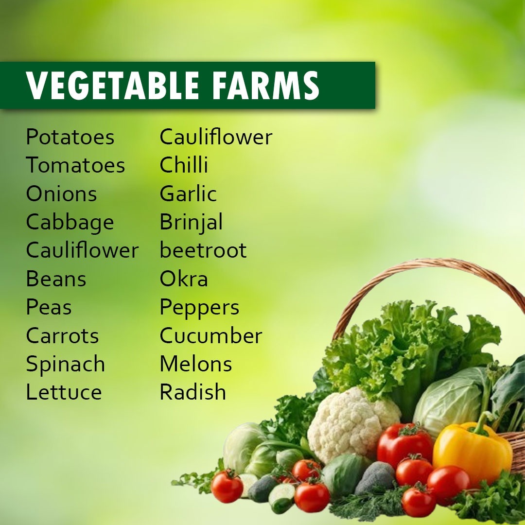 Sundarban Agro Tourism Vegitable Farms