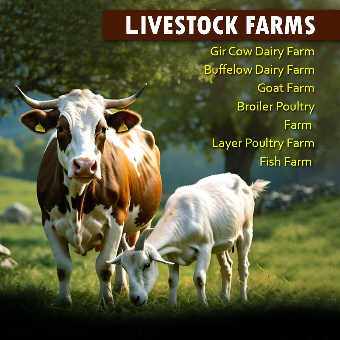 Sundarban Agro Tourism Livestock Farms