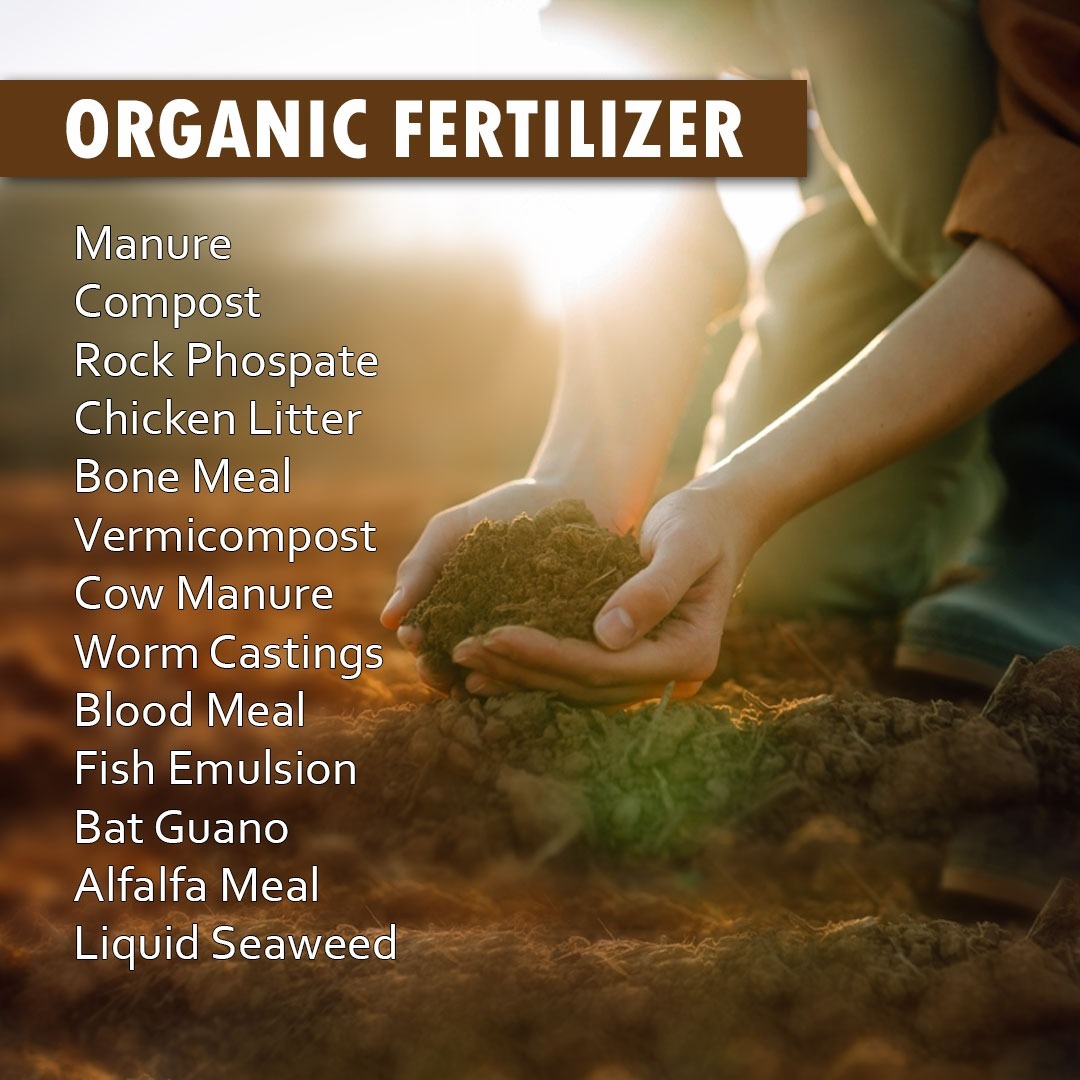 Sundarban Agro Tourism Organic Fertilizer