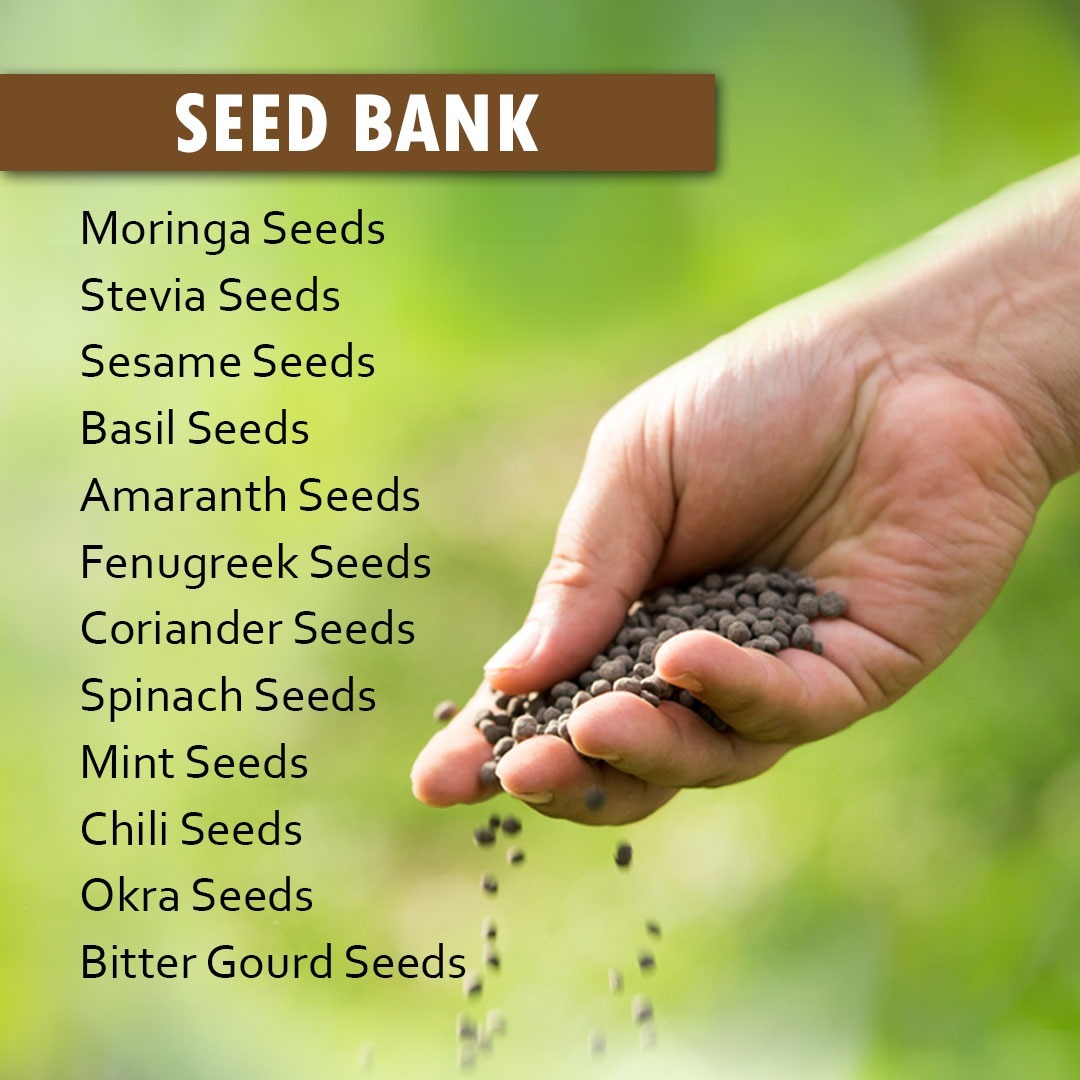 Sundarban Agro Tourism Seed Bank
