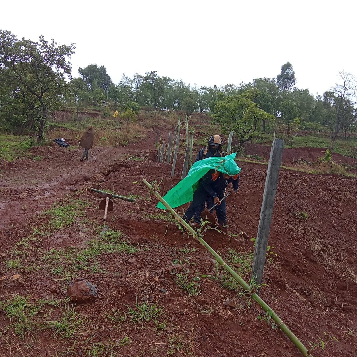 Nira Dam Progress